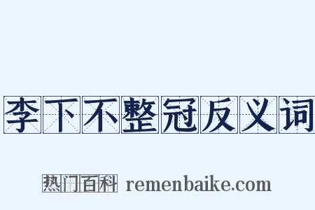李下不整冠反义词是什么意思的图片